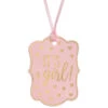 AMS Baby Shower Gift Tags Pink 25ct 2 AMS Baby Shower Gift Tags Pink 25ct -Toy World 260232