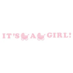 Baby Girl Ribbon Banner