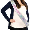 AMS Mom To Be Sash 1ct -Toy World 340143