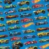 AMS Hot Wheel Wild Racer Lootbag 8ct -Toy World 371551
