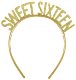 AMS Sixteen Blush Plastic Headbands 6ct