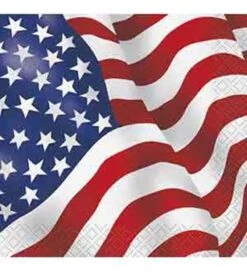 USA Flag Napkin (S) 16ct