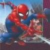 AMS Spiderman Webbed Wonder Luncheon Napkins 16ct