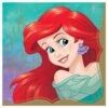 AMS Disney Princess Luncheon Napkins Ariel 16ct -Toy World 512370