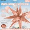 Rose Gold 3D Star Burst Jumbo Foil Balloon 2 Rose Gold 3D Star Burst Jumbo Foil Balloon -Toy World 53868
