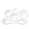 Luau Plastic Seashells - White -Toy World 55175