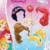 Princess Dream Photo Props 8pc