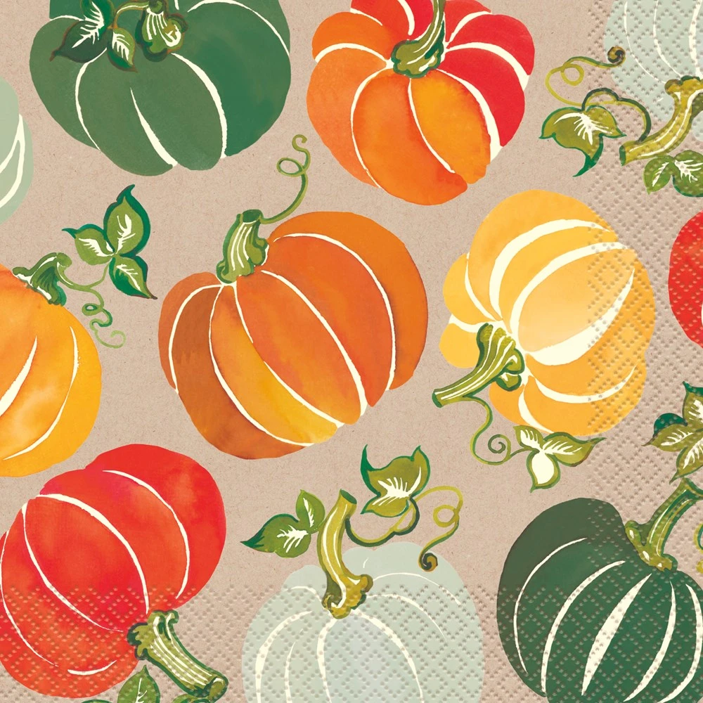 Colorful Pumpkins Lunch Napkin 16ct 1 Colorful Pumpkins Lunch Napkin 16ct