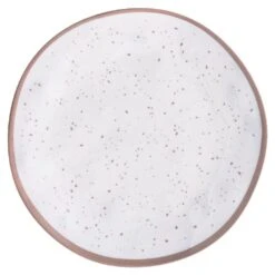 AMS Melamine Plastic Plate Rose Gold 10.5 Inch 1ct