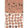 AMS Rose Gold Foil And Glitter Circle Confetti 1ct 2 AMS Rose Gold Foil And Glitter Circle Confetti 1ct -Toy World rose gold foil and glitter circle confetti 2 25oz toy world inc