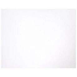 Dxn White Poster Board 22in X 28in